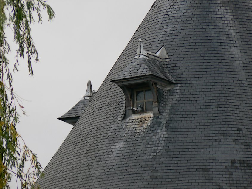 Le Donjon de Ste Genevieve-des-Bois: Le Donjon 080